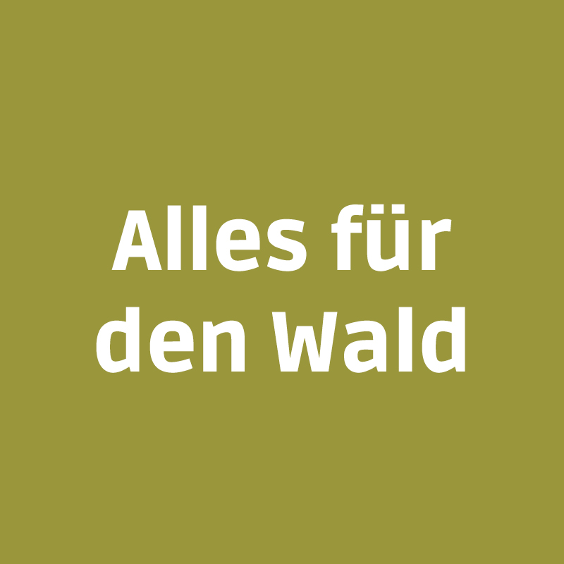 Kachel_11